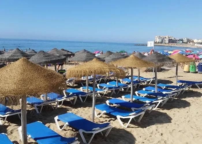 Apartment Santana Habaneras - 18 At With Garage, Pool And Lift Torrevieja