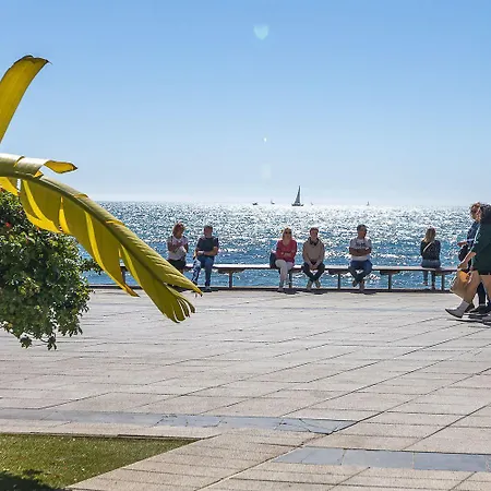 Santana Habaneras - 18 At With Garage, Pool And Lift * Torrevieja